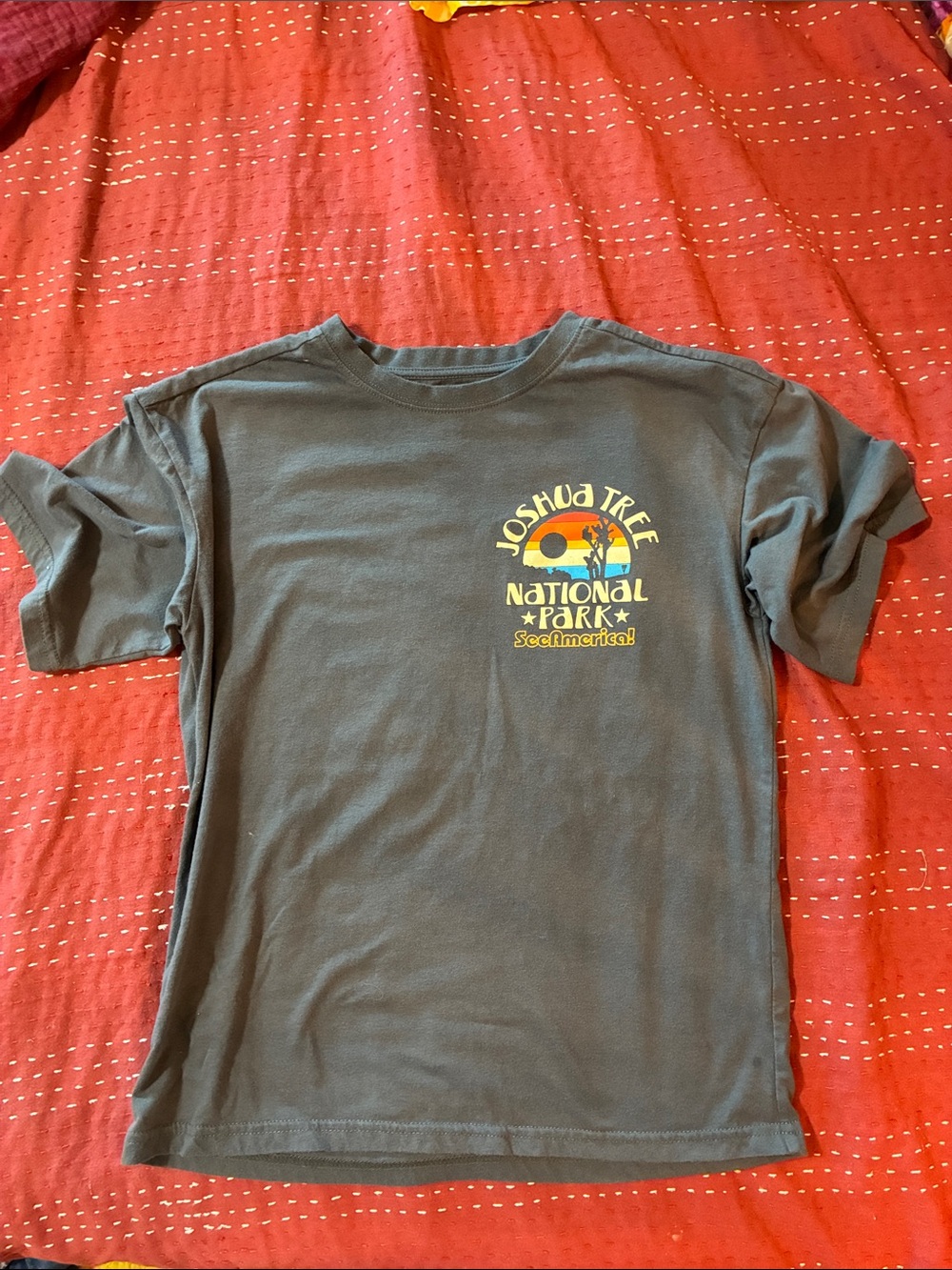 3/$10 Joshua Tree National Park Graphic Kids T-Shirt - Gray